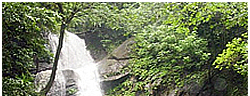 alitap falls 01