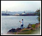 Subic shore fishing